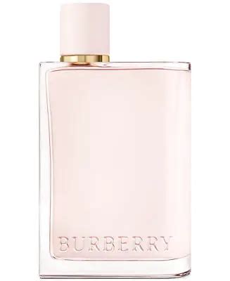 Burberry Vs Ferragamo – Perfume Nez